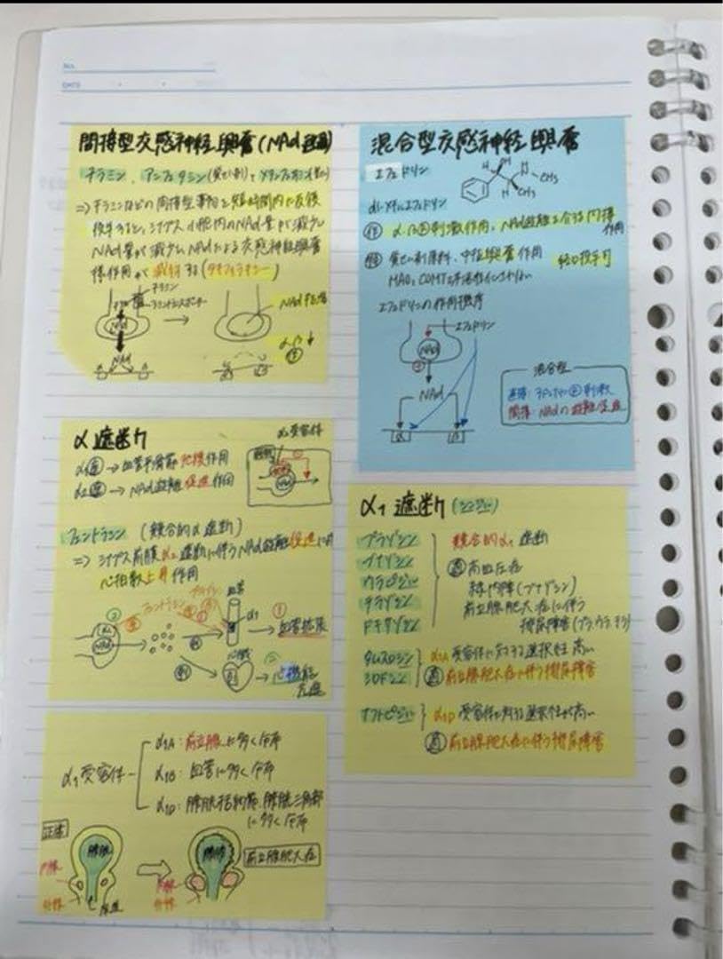 Amazon.co.jp: 薬剤師国家試験 薬理 ゴロ集 薬剤も少し : おもちゃ